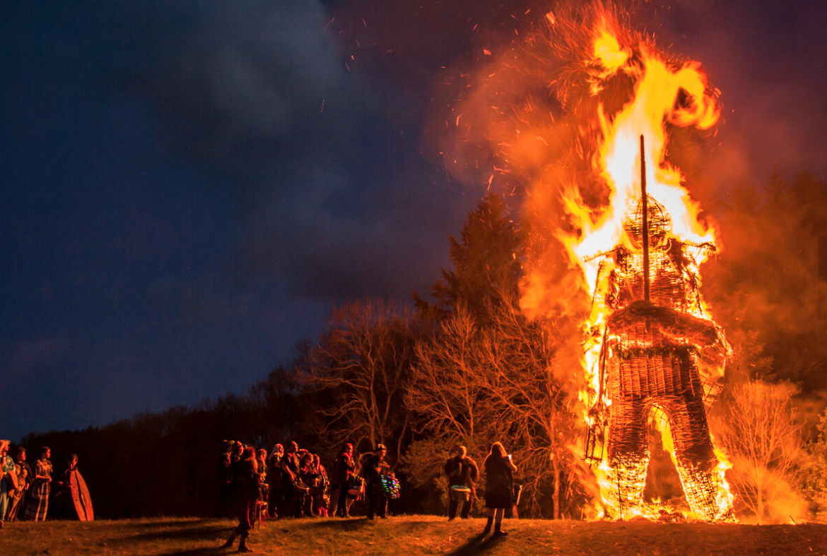 Butser Ancient Farm - Burning the Wickerman 