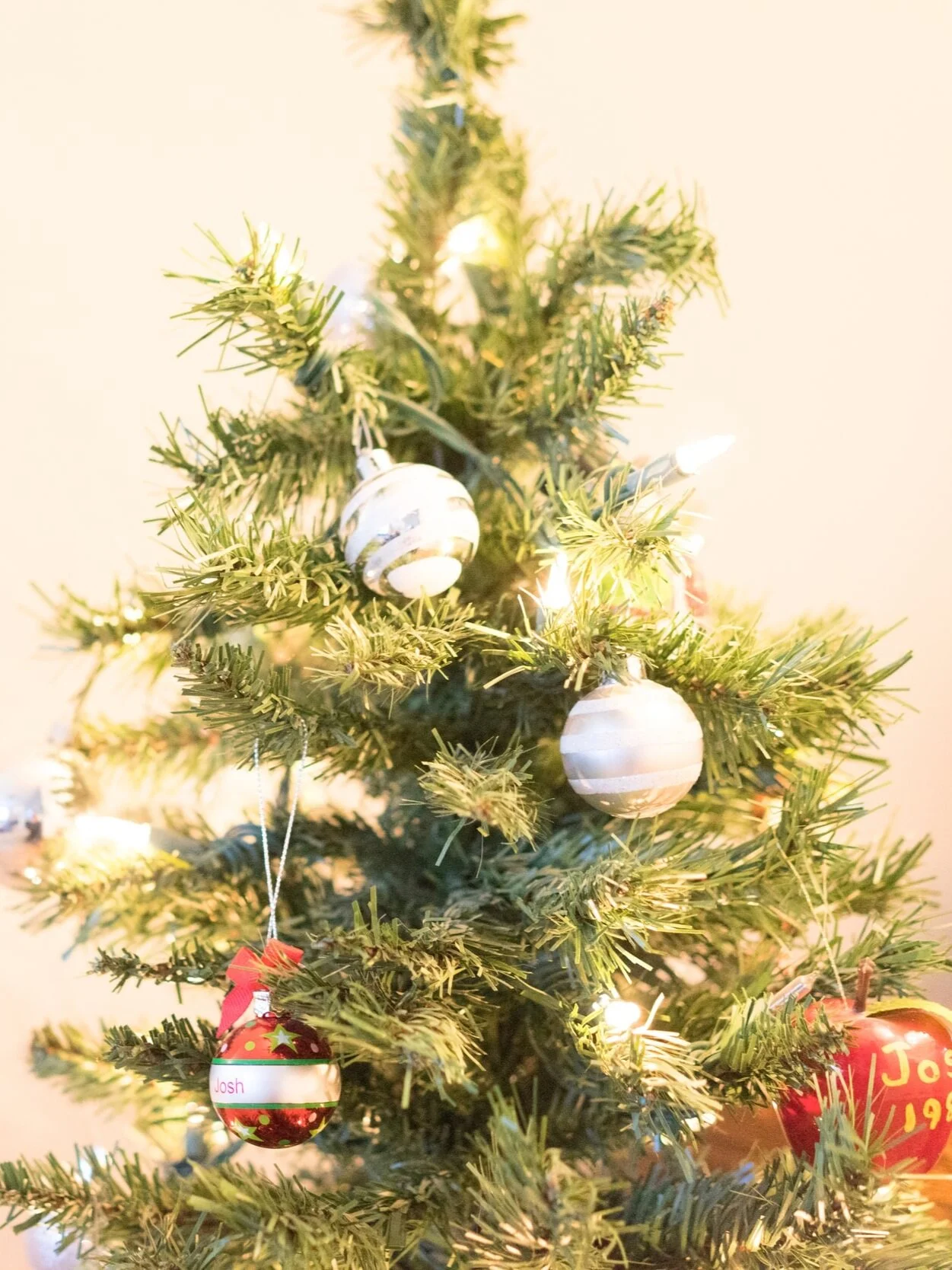 Thank you to Beaminster Christmas Trees