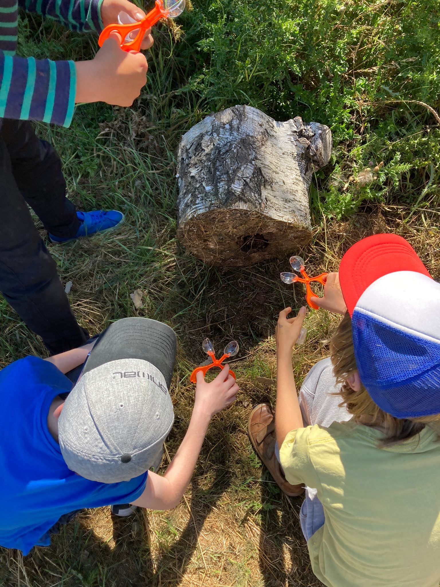 Soil Welly Boot Wonder 8th August 2022