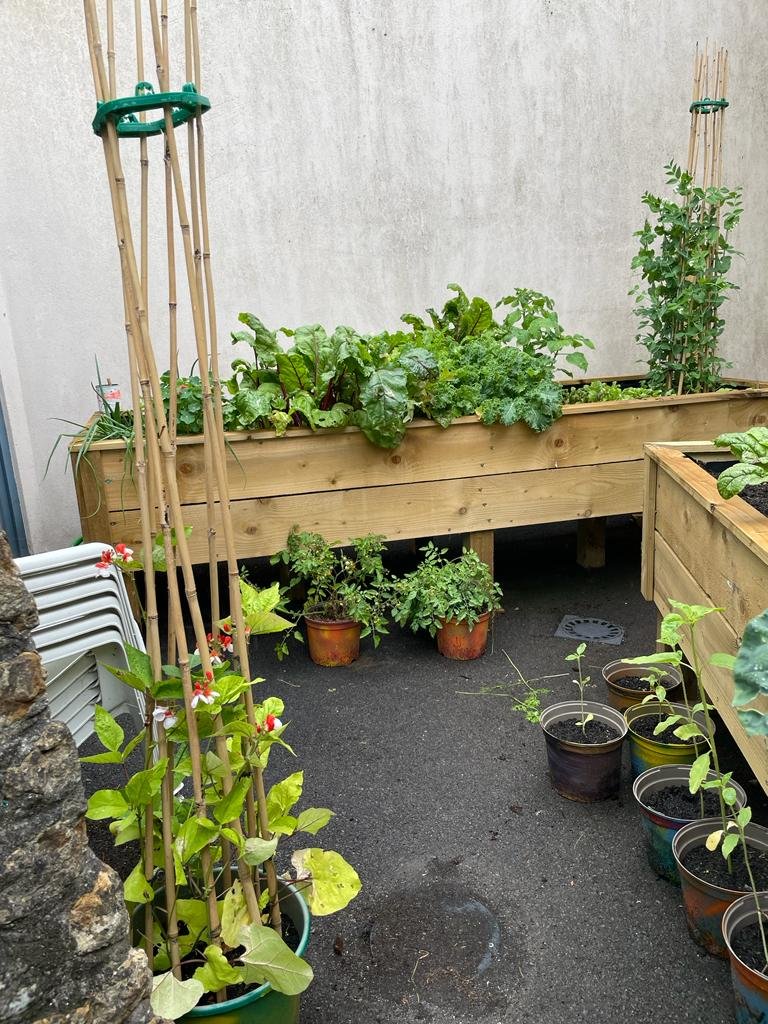 Second Bed Progress 13.07.2023