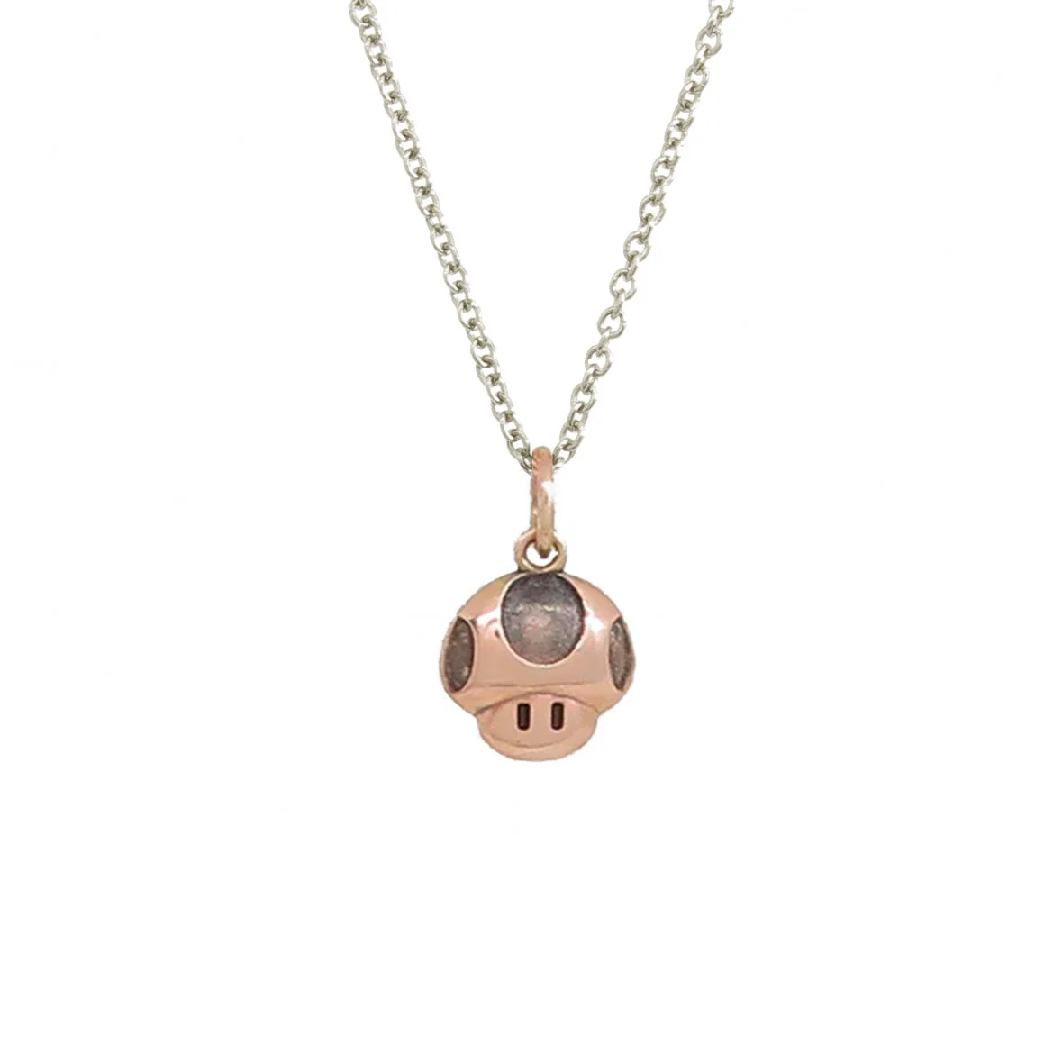 Mushroom Rose with silver chain_scaled.jpg