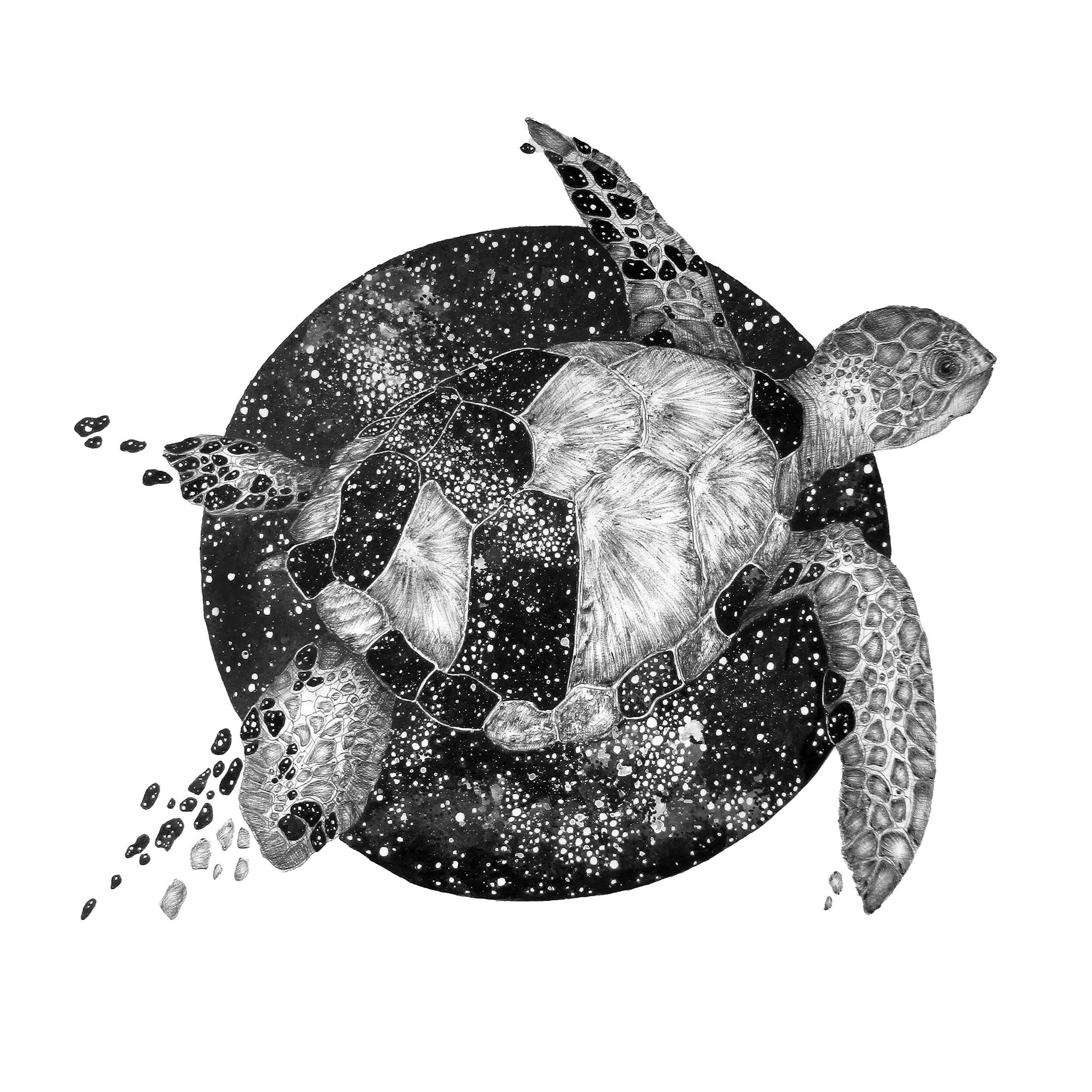Cosmic Sea Turtle SQUARE.jpg