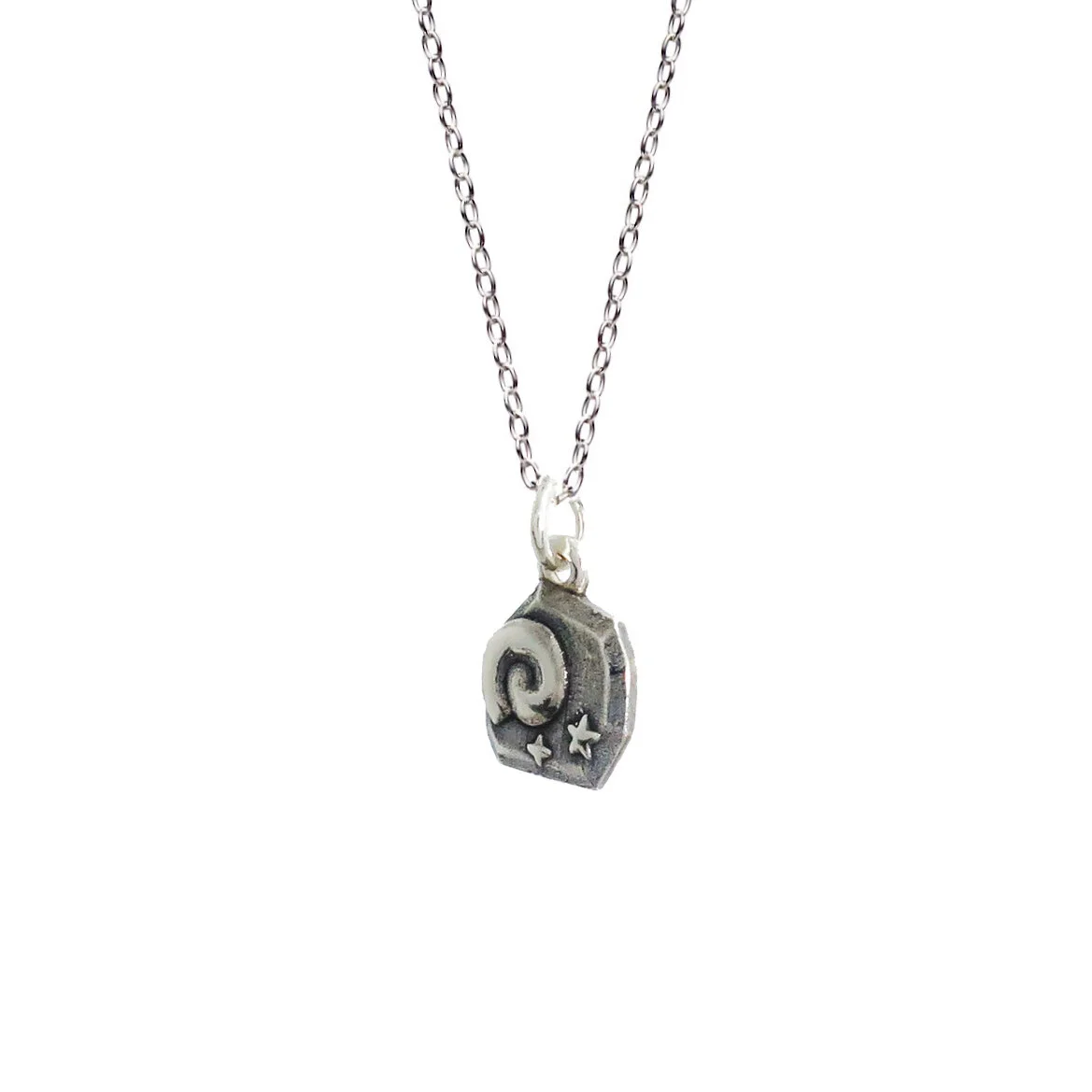Fossil Silver with chain 3-4 Scaled.jpg