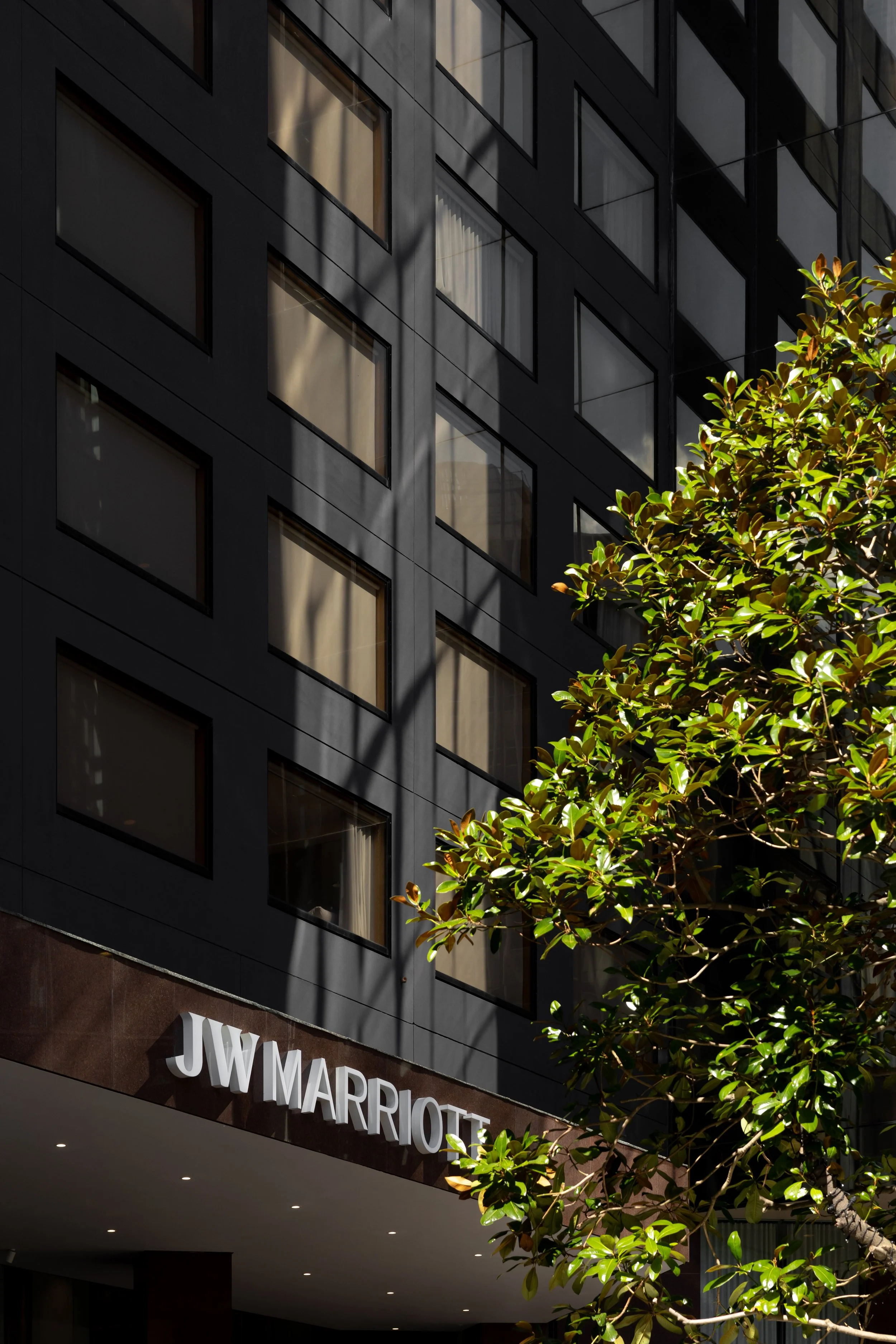 JP1_5472.jpg