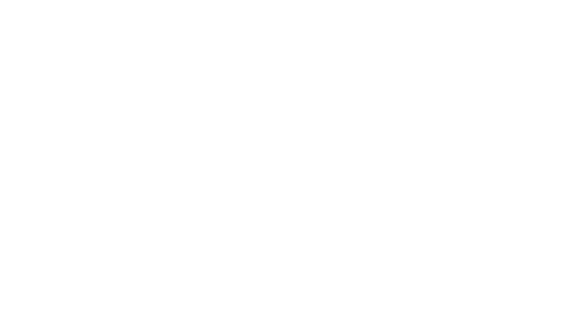 BS-Sponsor-04-Remo-002.png