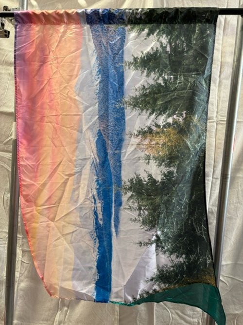 2019-2
