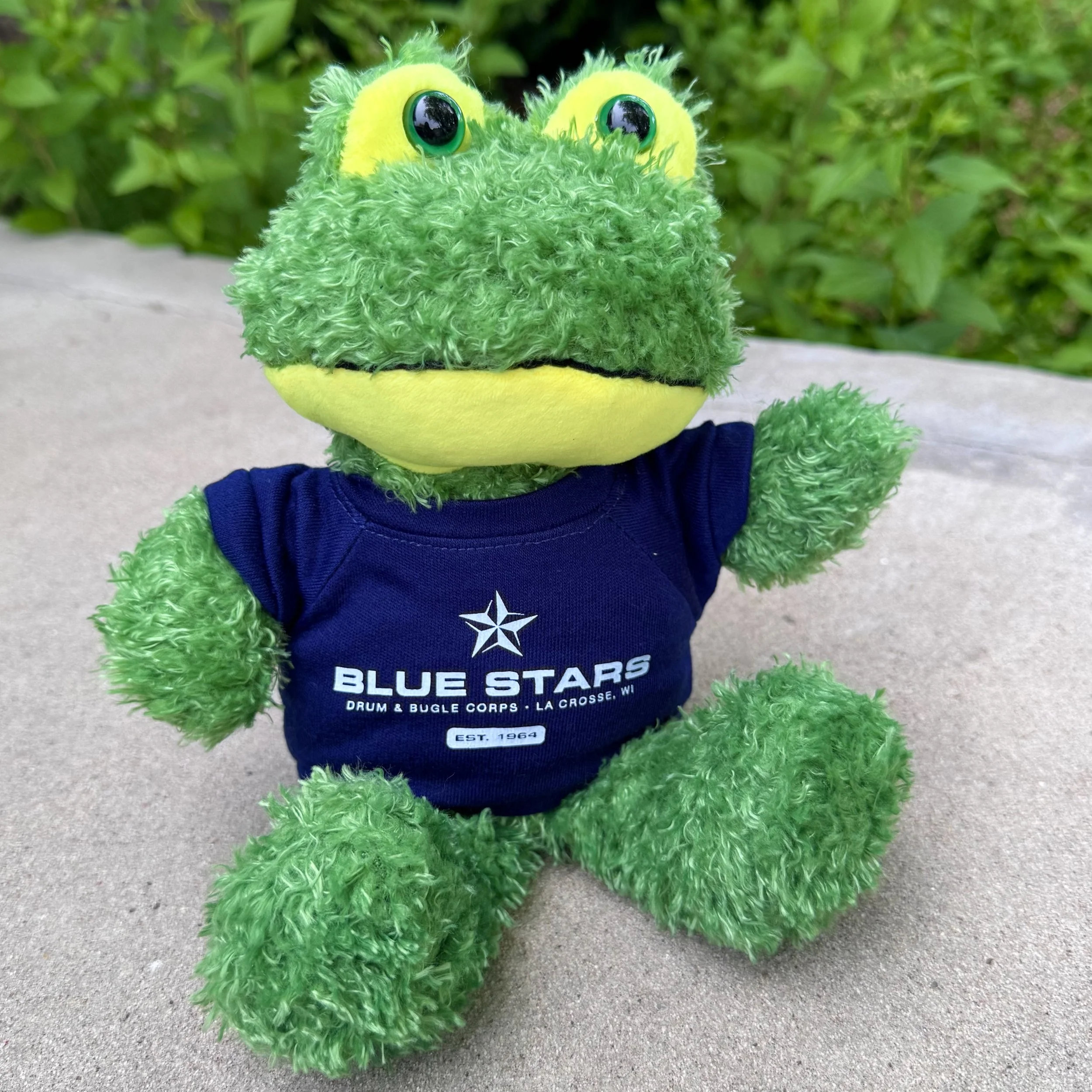2026_BS_Frog.jpeg