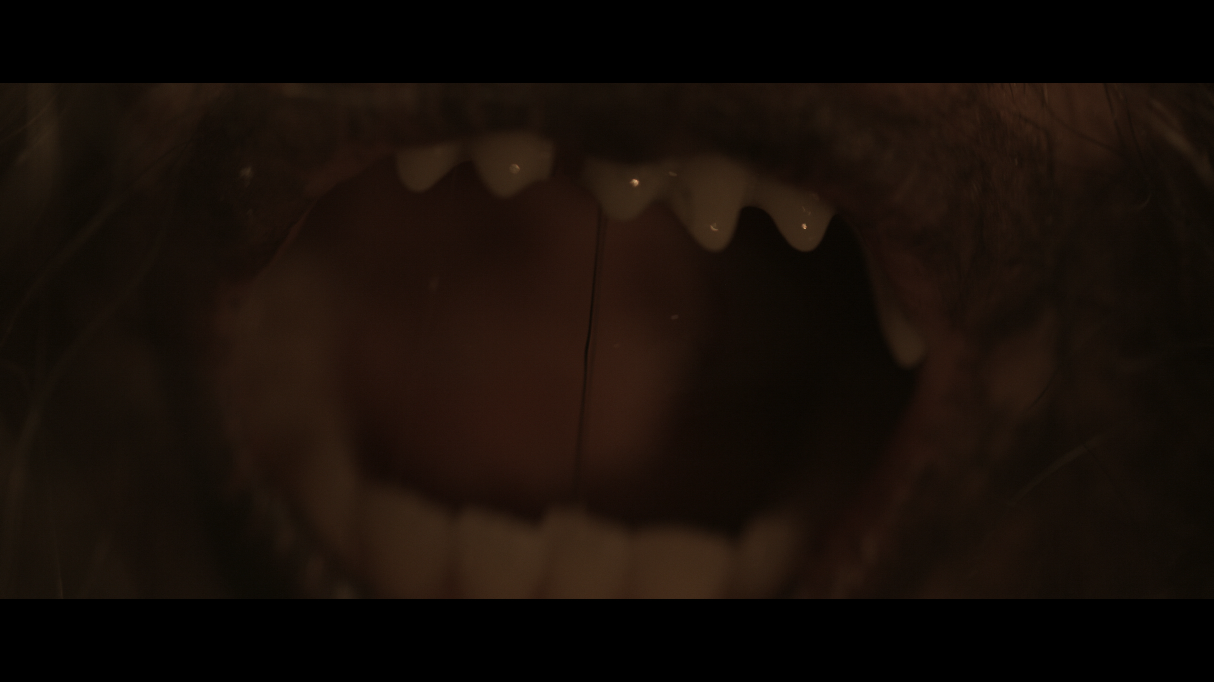 Werewolf_teeth.png