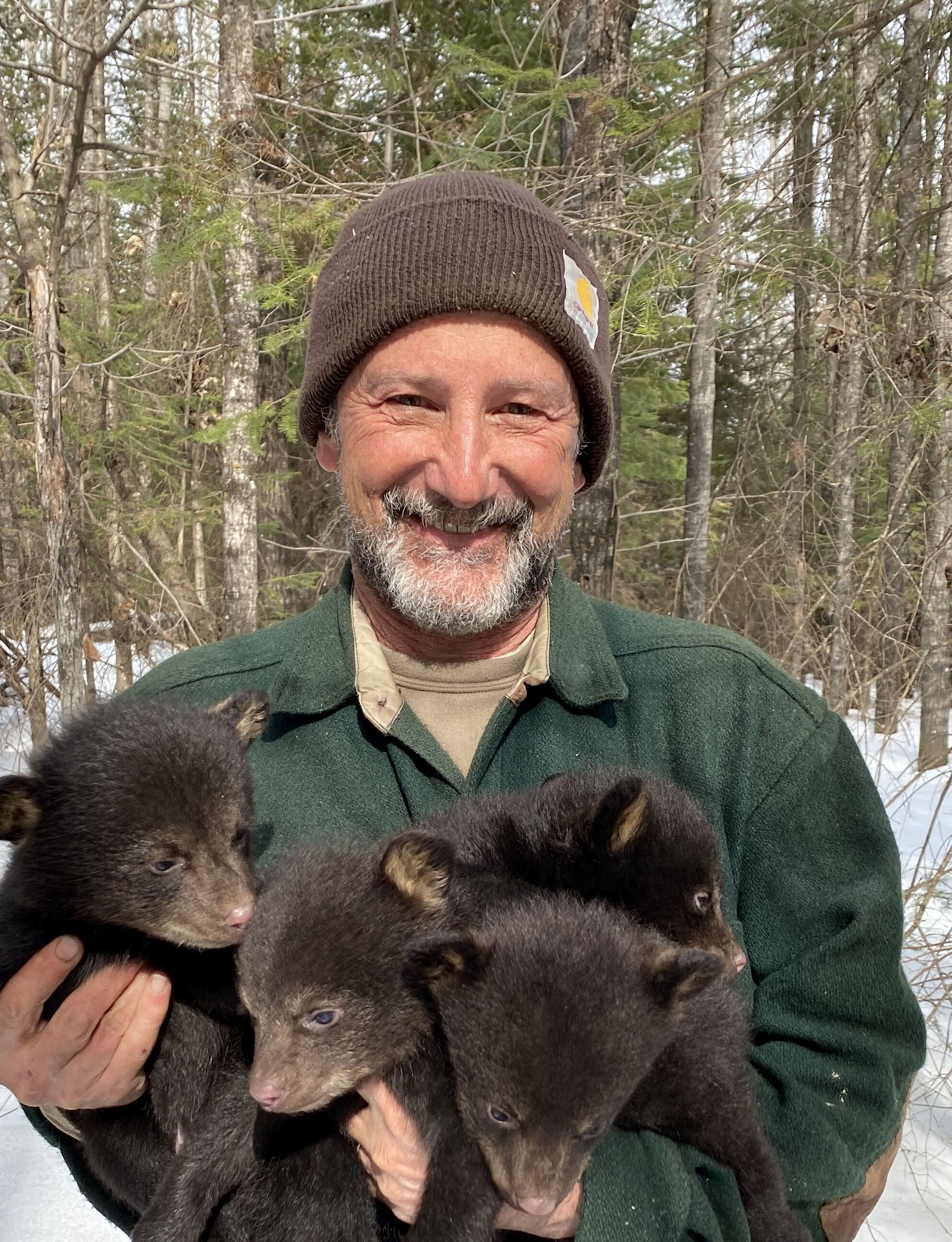 Dr. Dave Garshelis — Center for Wildlife Studies