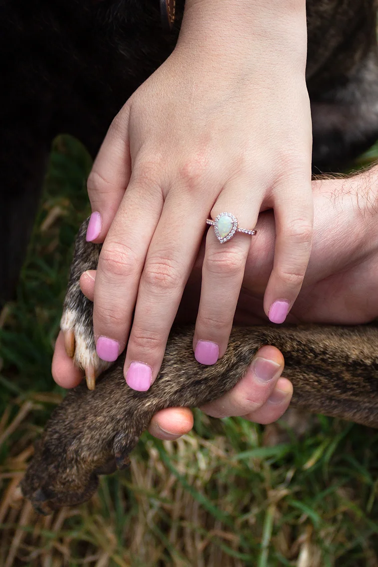 Pups 7 Web.jpg