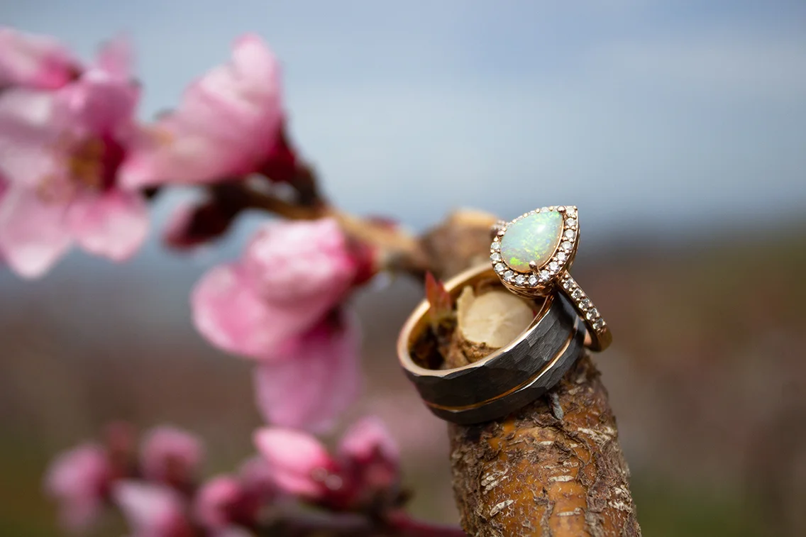 Ring 2 Web.jpg