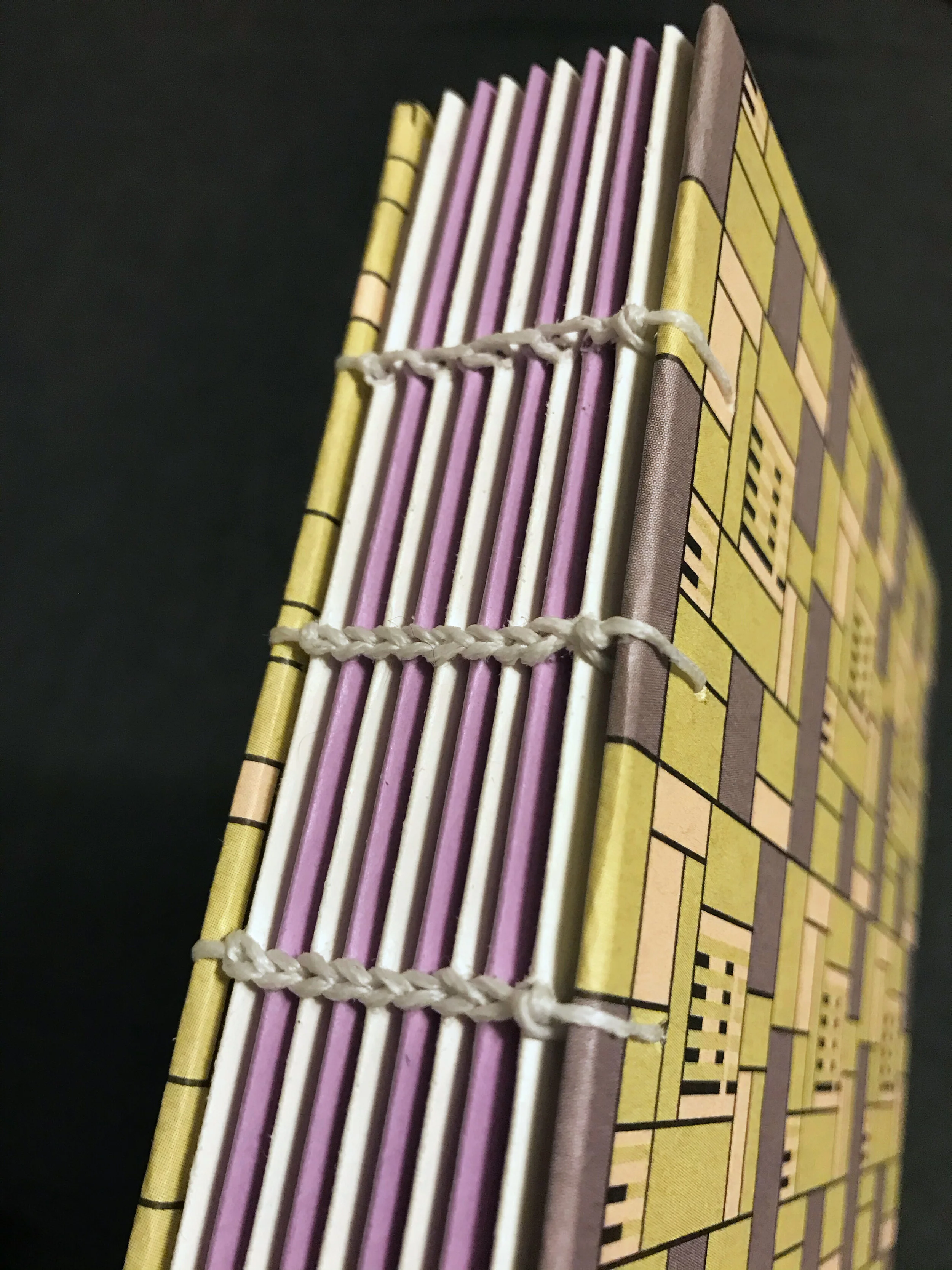 Green purple book 2.jpg