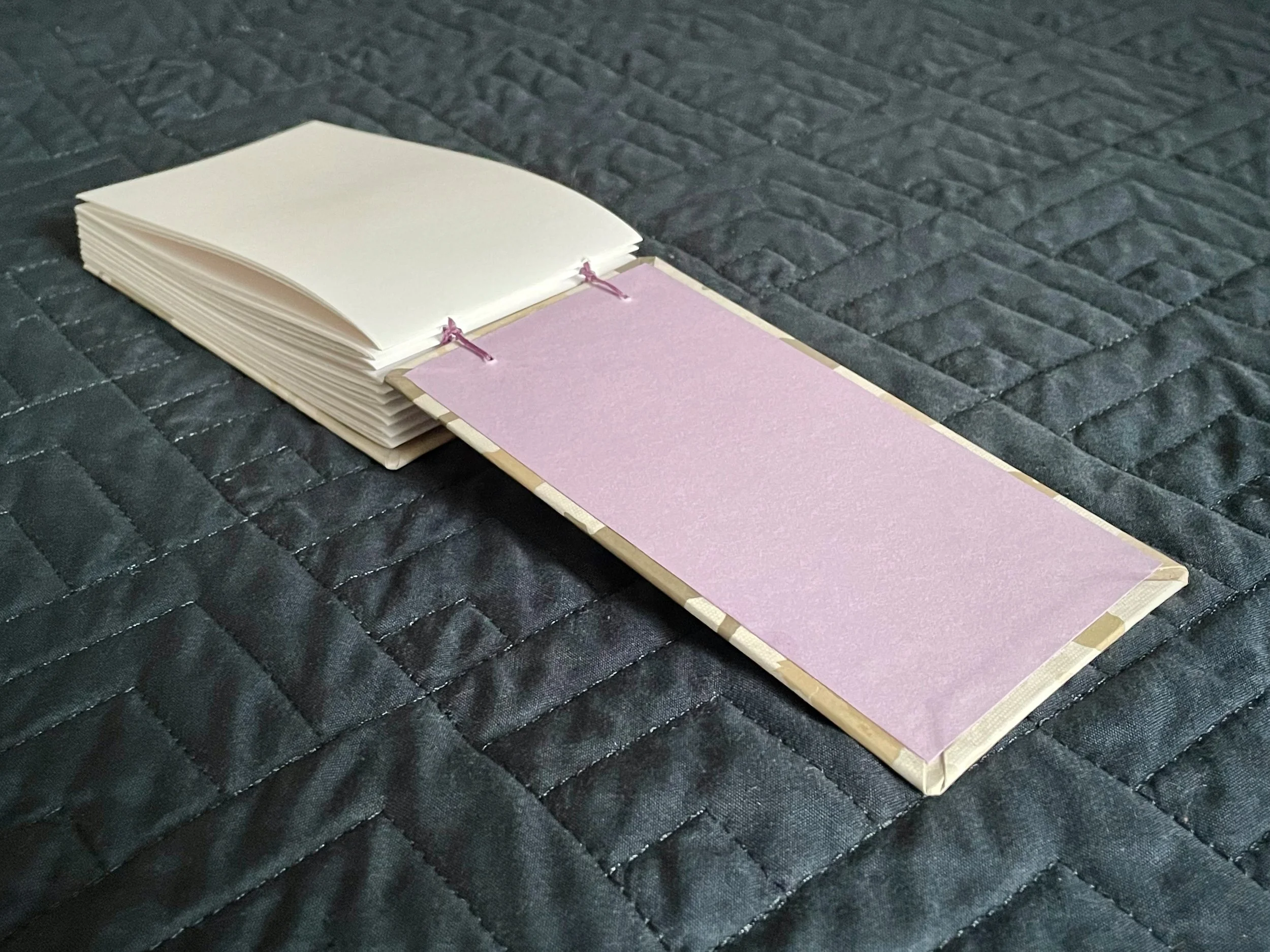 Cat Book 2.jpg