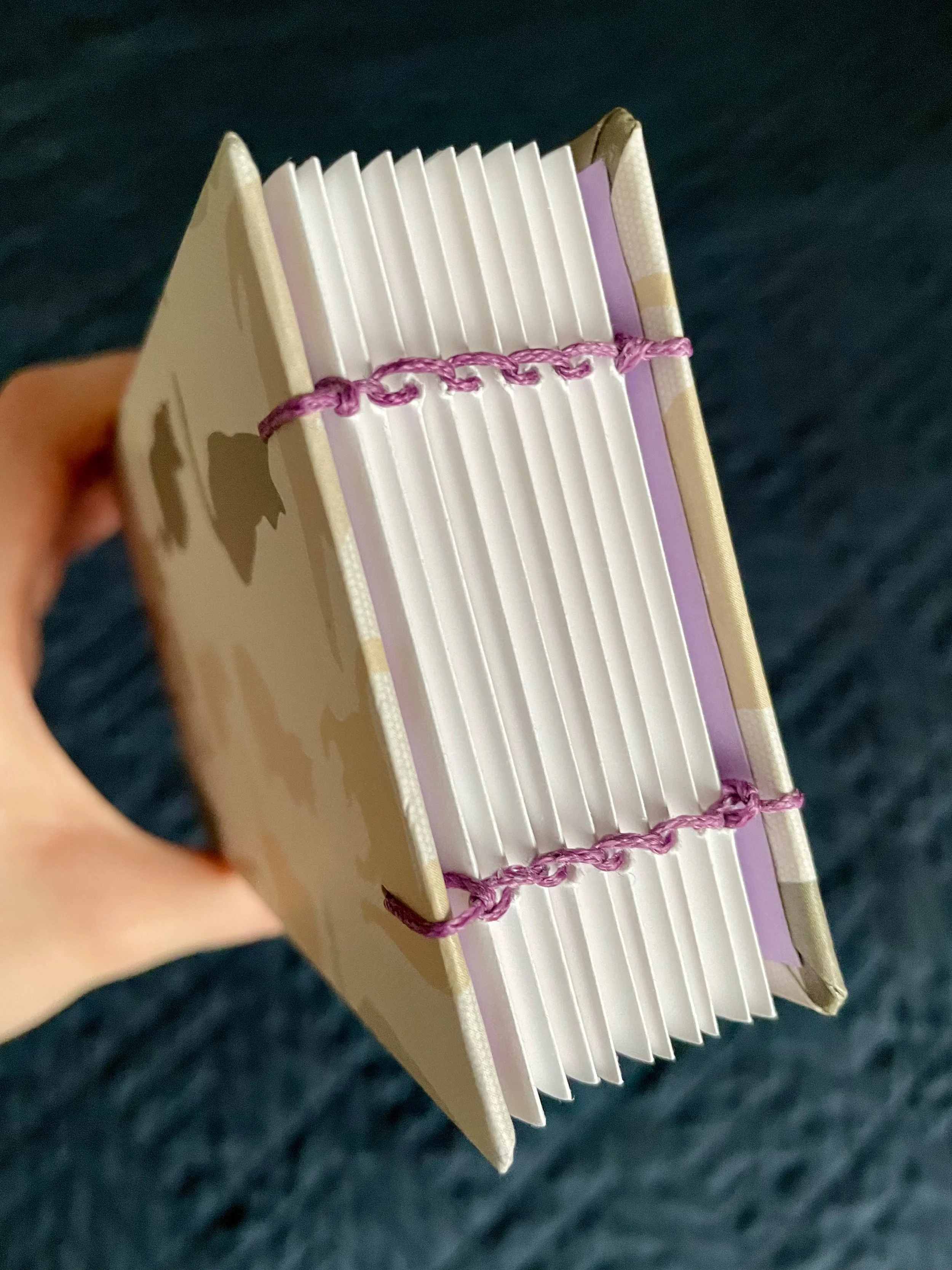 Cat Book 1.jpg