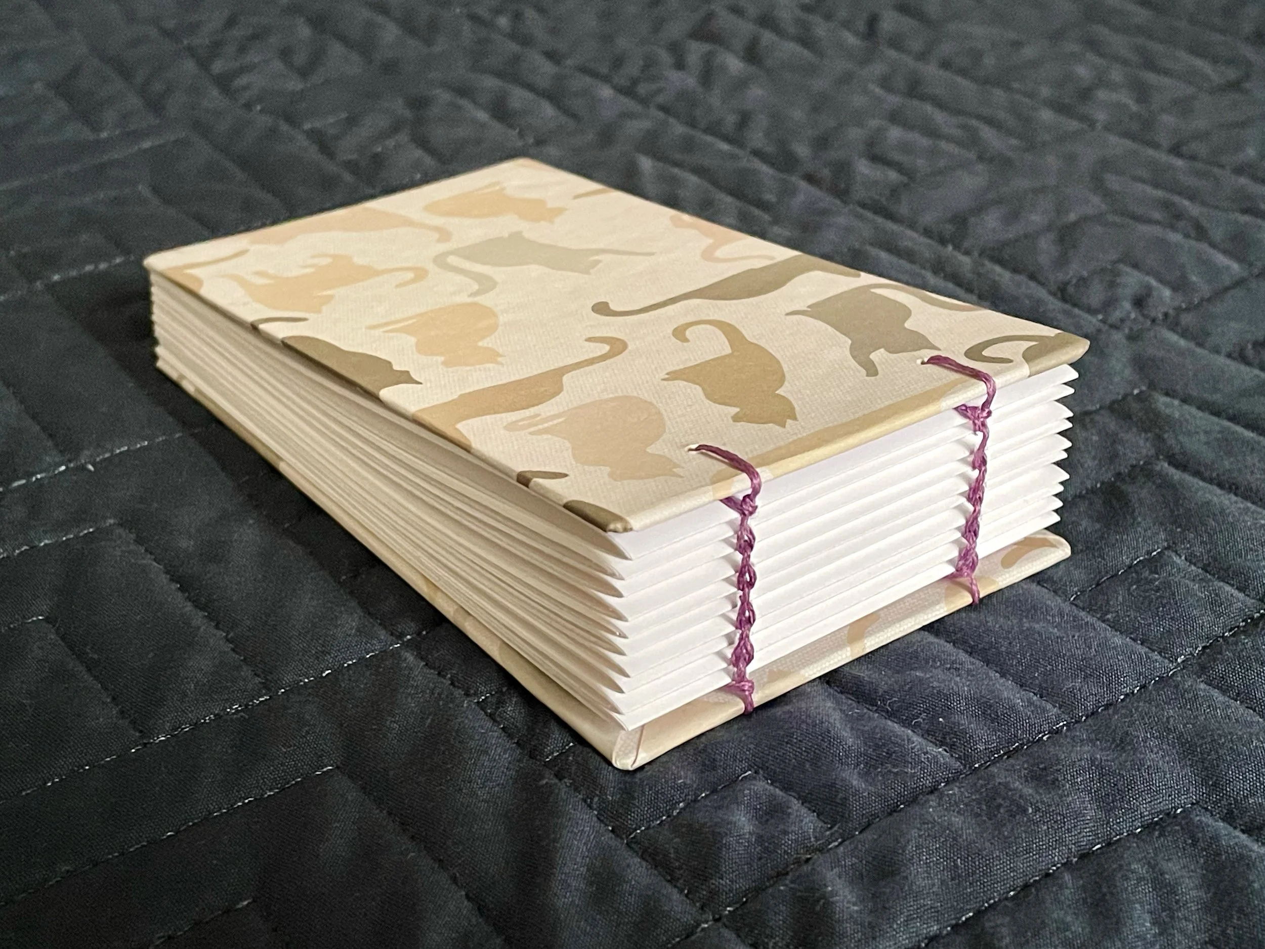 Cat Book 3.jpg