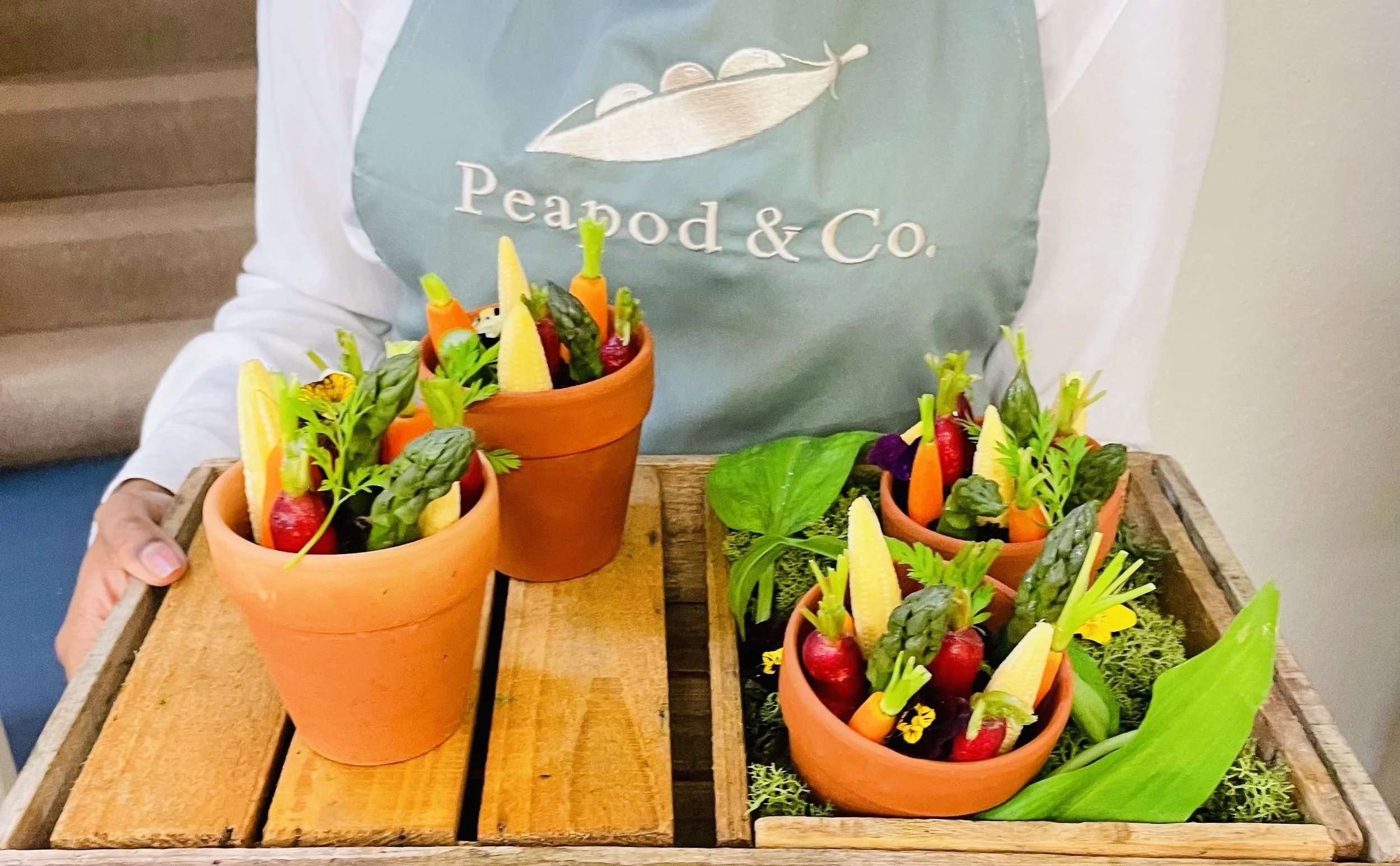 Crudités in Terracotta Pots - Garden Theme Event