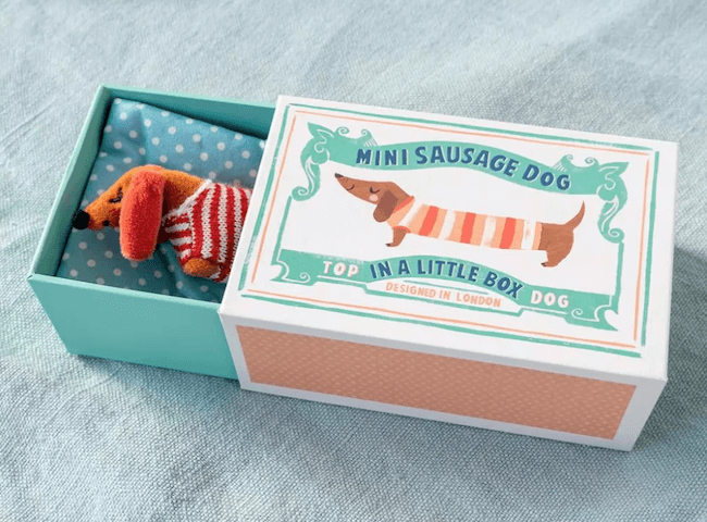 Mini sausage dog in a little box - Sausage Dog soft toy