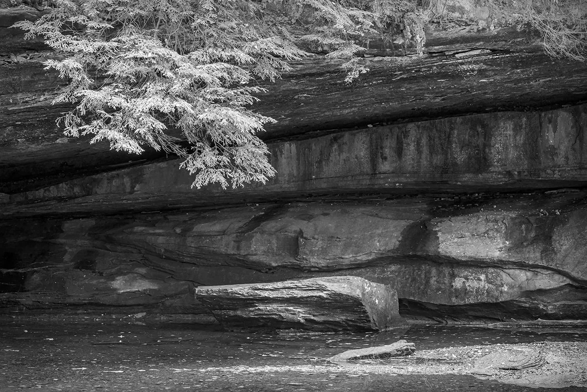 Black Hand Sandstone, Hemlock Branches, Cedar Falls Gorge, Hocking Hills S.P., Ohio