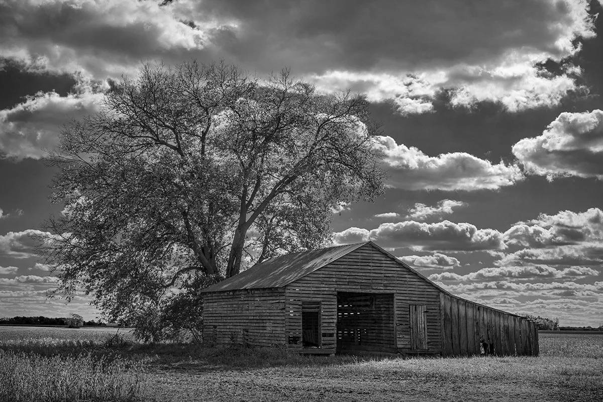 Weathered Barn, Tree, Clouds, Chuckery, Ohio