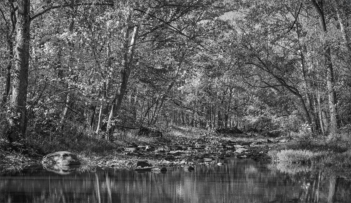 Olentangy River, Fall Foliage, Sycamore Run Park, Ohio
