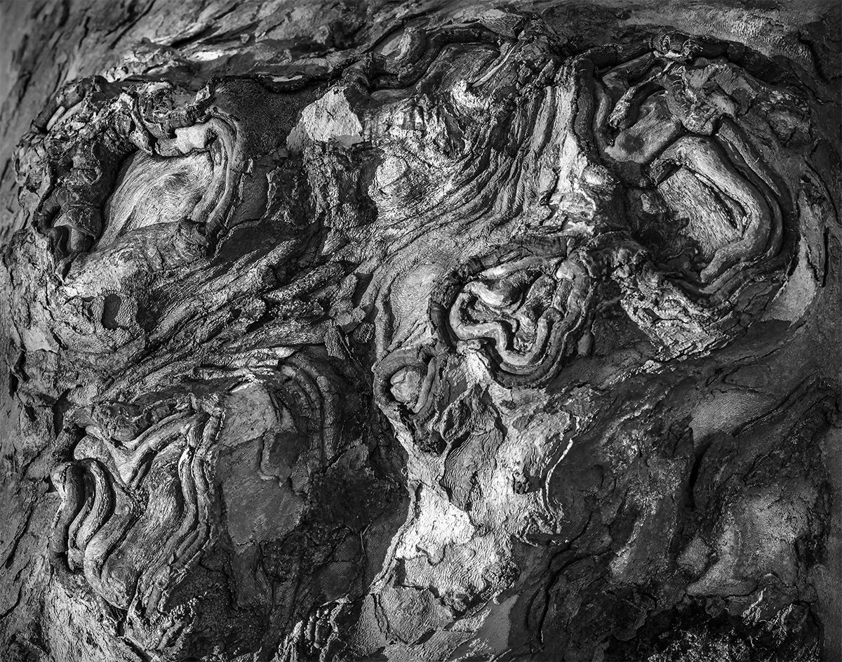 Sycamore Abstract II, McKitrick Park, Plain City, Ohio