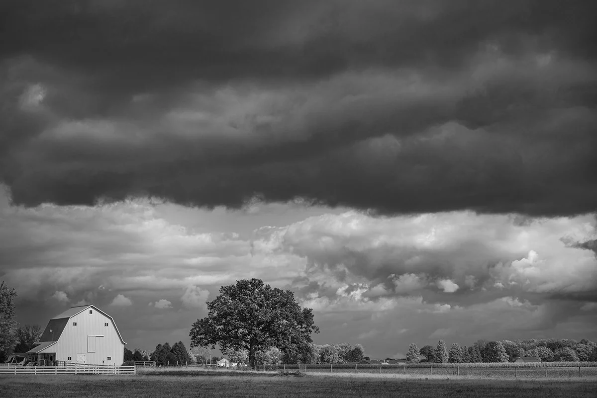 Sunlit Barn, Tree, Ominous Clouds, Plain City, Ohio