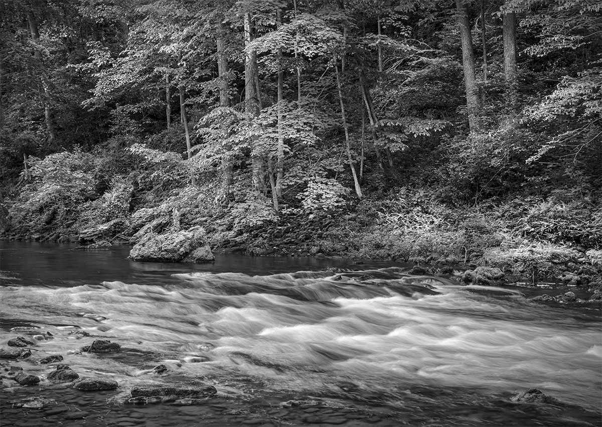 Little Miami River, Whitewater, Foliage, Clifton Gorge State Nature Preserve, Ohio