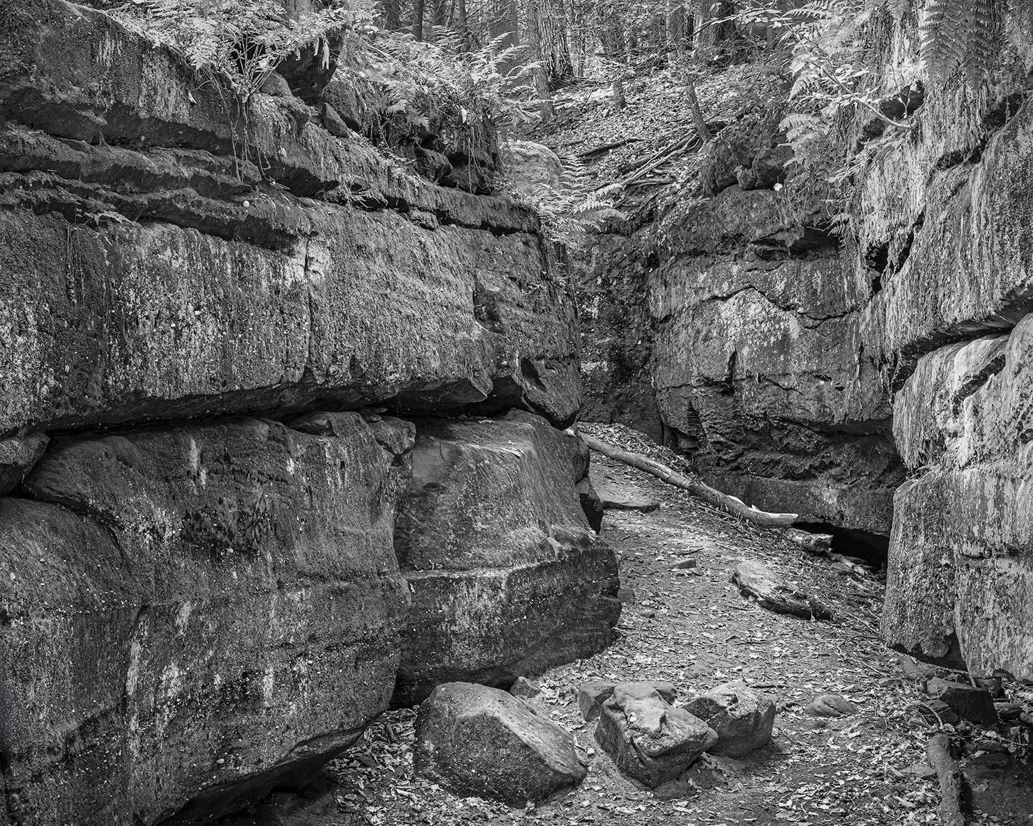 Black Hand Sandstone, Ledges Trail, Cuyahoga Valley N.P., Ohio