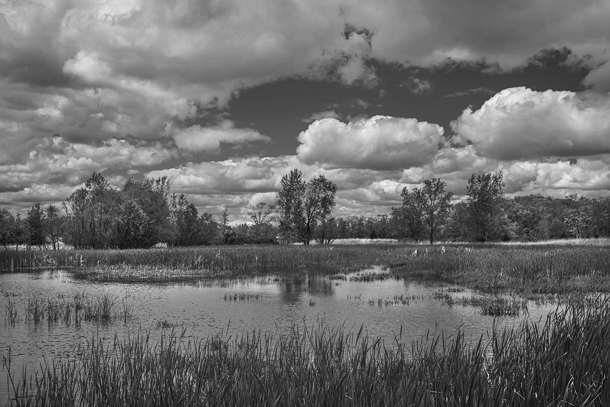 Marsh, Clouds, Prairie Oaks Metro Park, Ohio