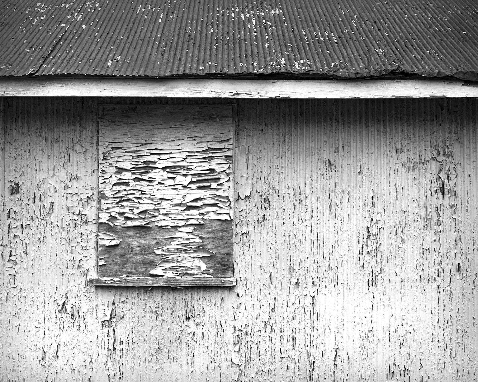 Barn, Weathered Paint, Metal Roof, Lafayette, Ohio
