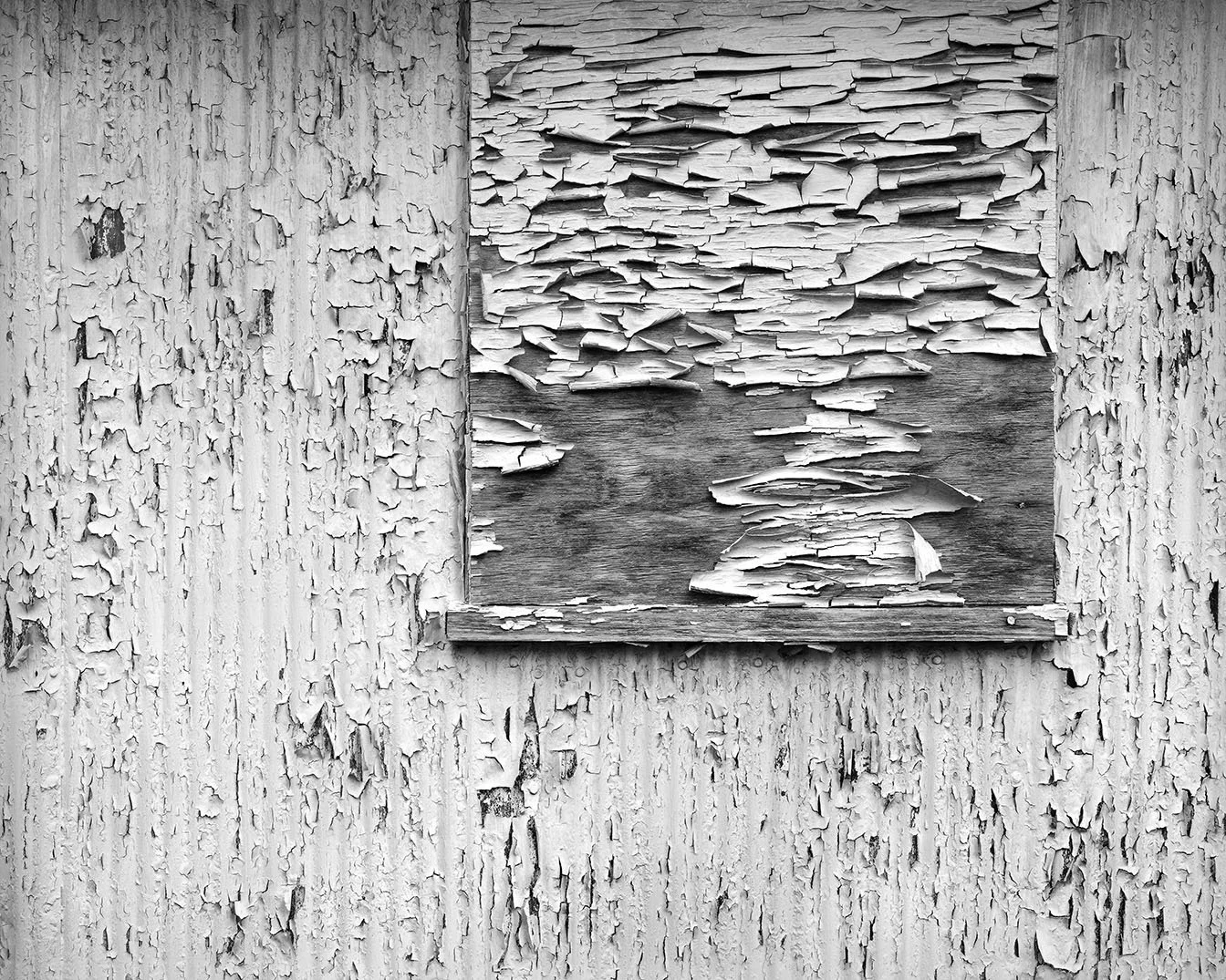 Weathered Paint, Barn, Lafayette, Ohio
