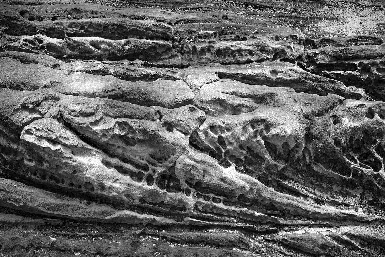 Weathered Black Hand Sandstone, Ledge Trail, Cuyahoga Valley N.P., Ohio