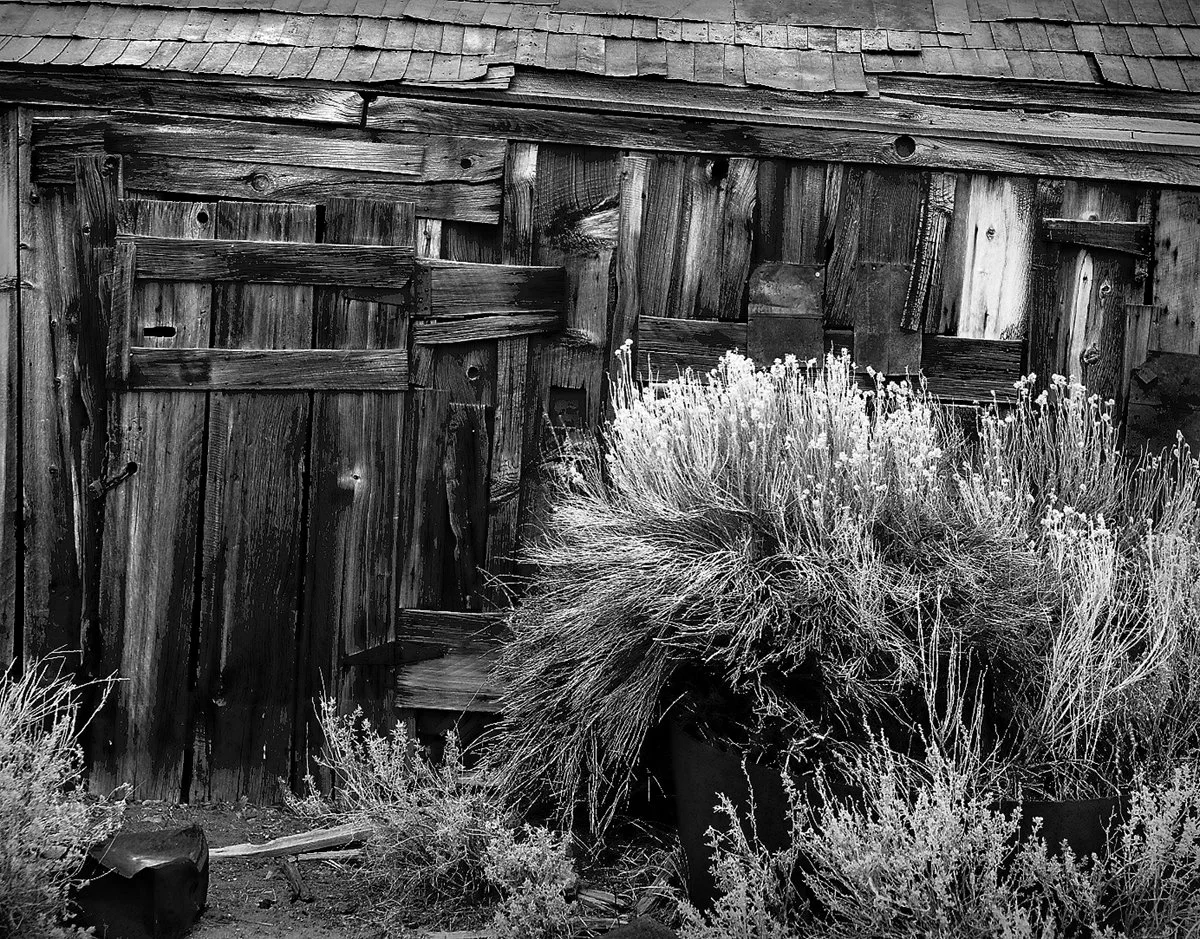 Weathered Building, Sage, Bodie, California