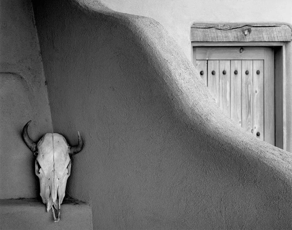 Buffalo Skull, Adobe Wall, Door, Placitas, New Mexico