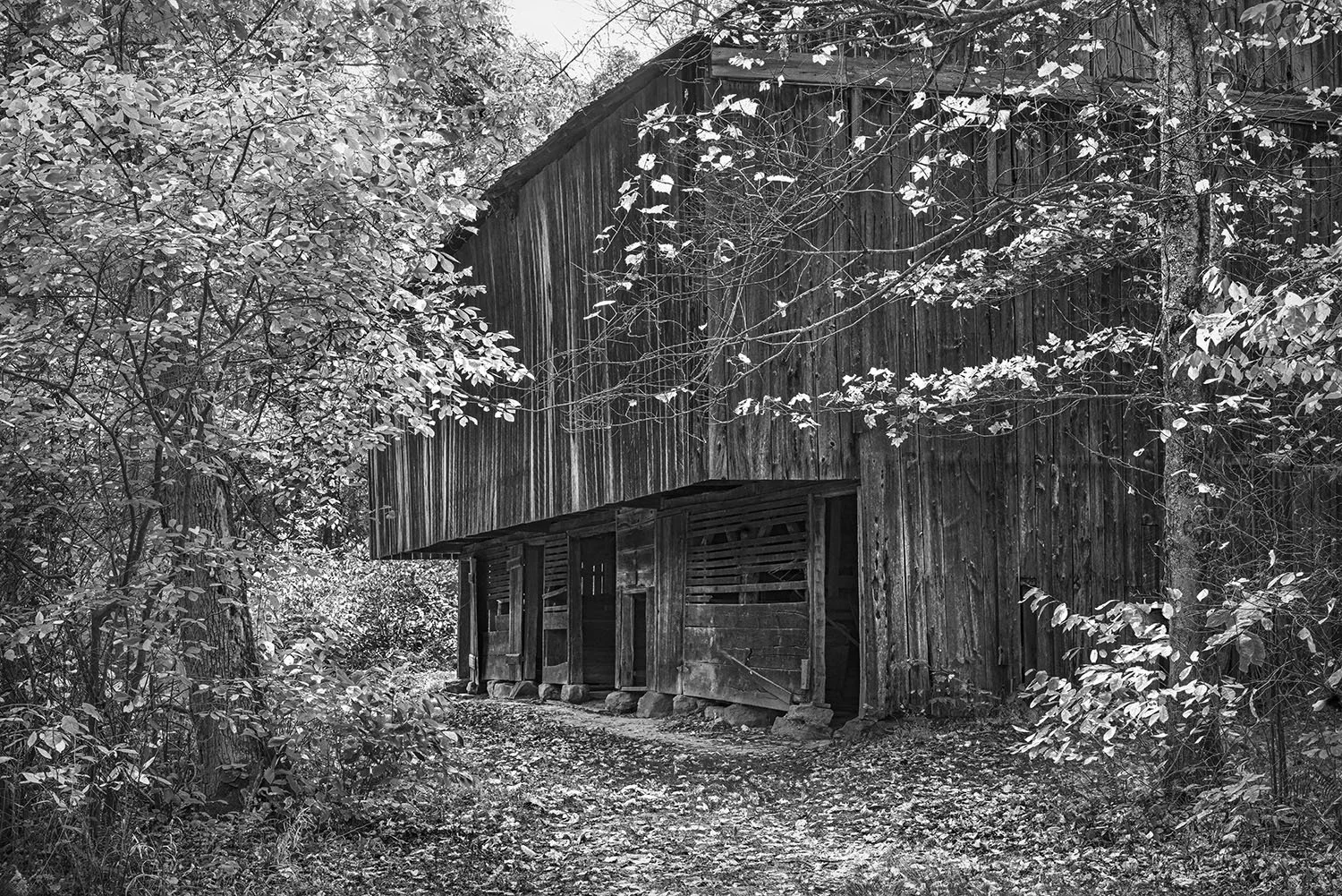 Cemetery Ridge Barn, Clear Creek Metro Park, Ohio