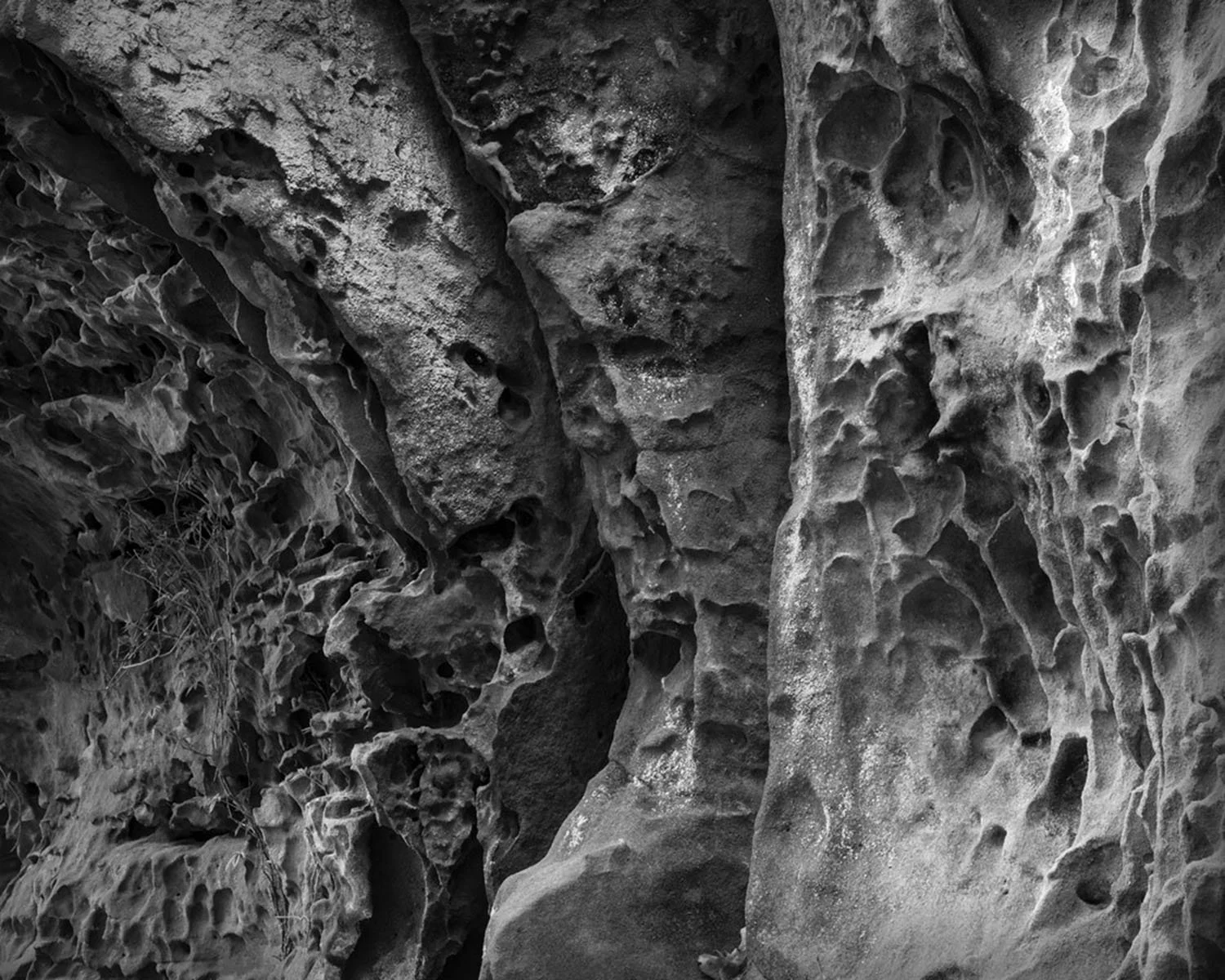 Black Hand Sandstone Detail, Clear Creek Metro Park, Rockbridge, Ohio