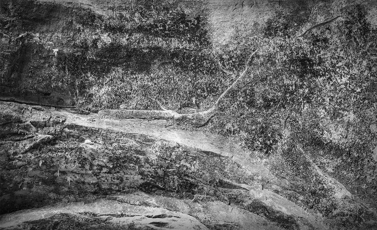 Black Hand Sandstone Detail, Cedar Falls Gorge, Hocking Hills S.P., Ohio