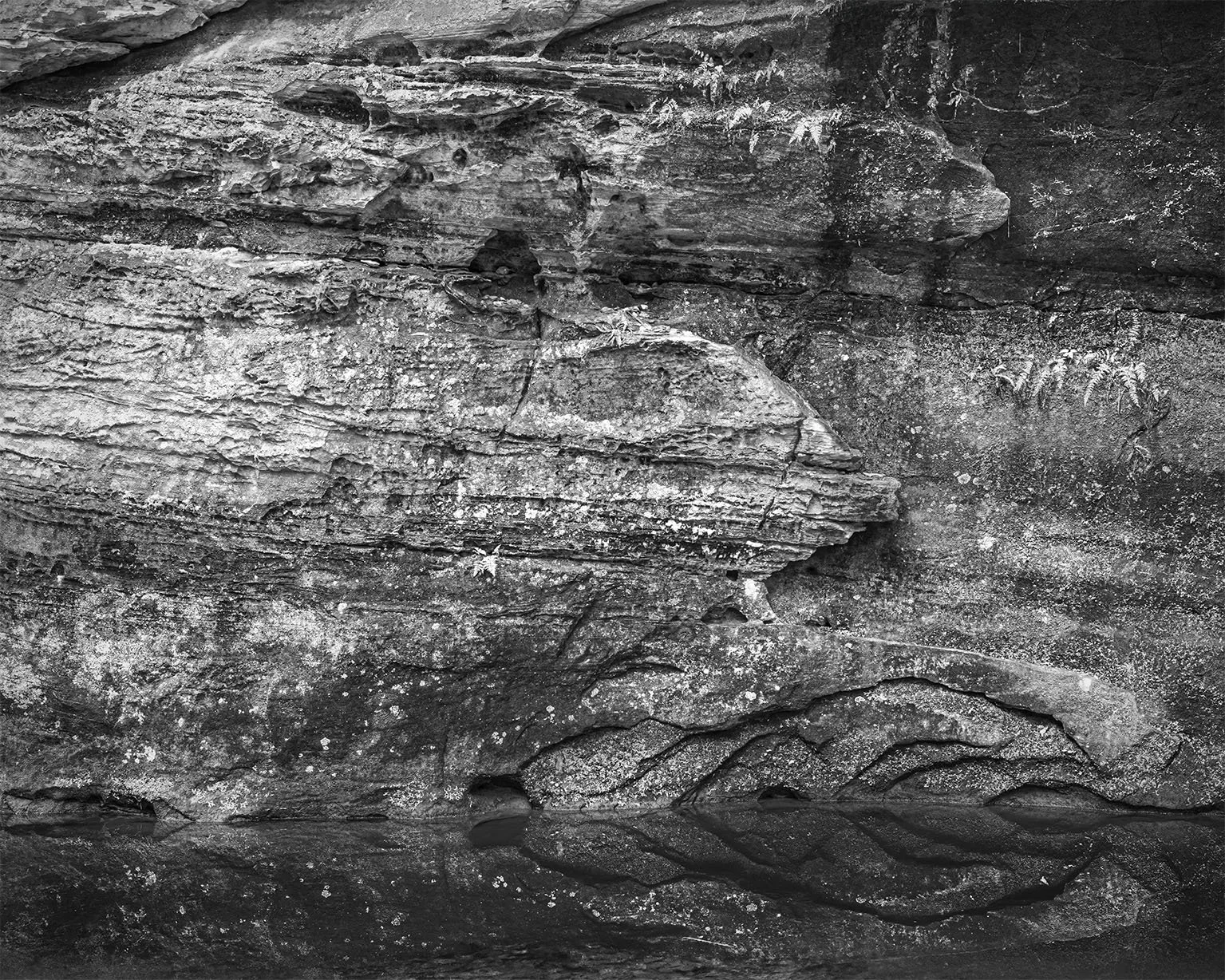 Black Hand Sandstone Detail, Old Man's Creek, Old man's Gorge, Hocking Hills S.P., Ohio