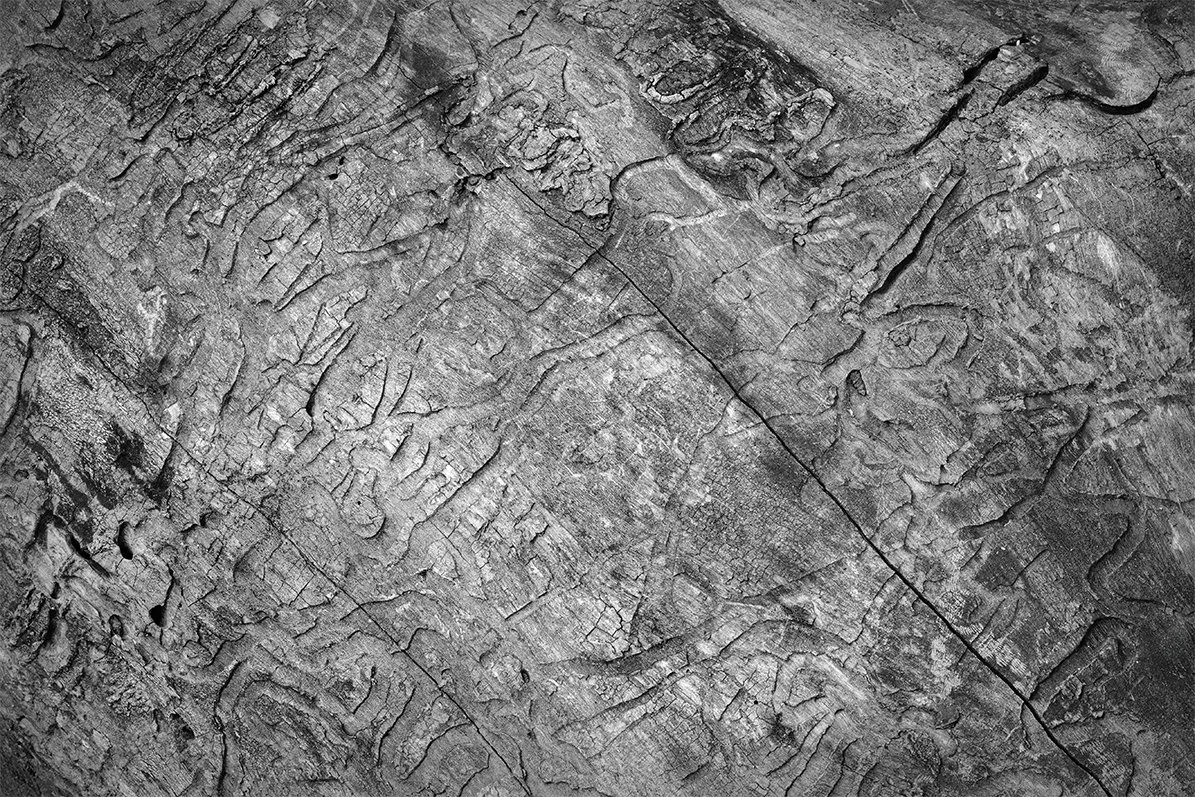Deadwood Designs, Sheedy Sanctuary Nature Preserve, Ohio