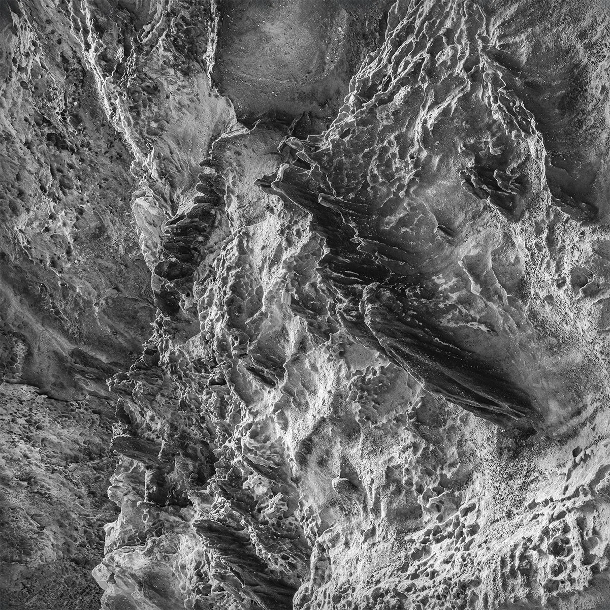 Sandstone Detail, Honeycomb Rocks at Arc of Appalachia Nature Preserve, Ohio
