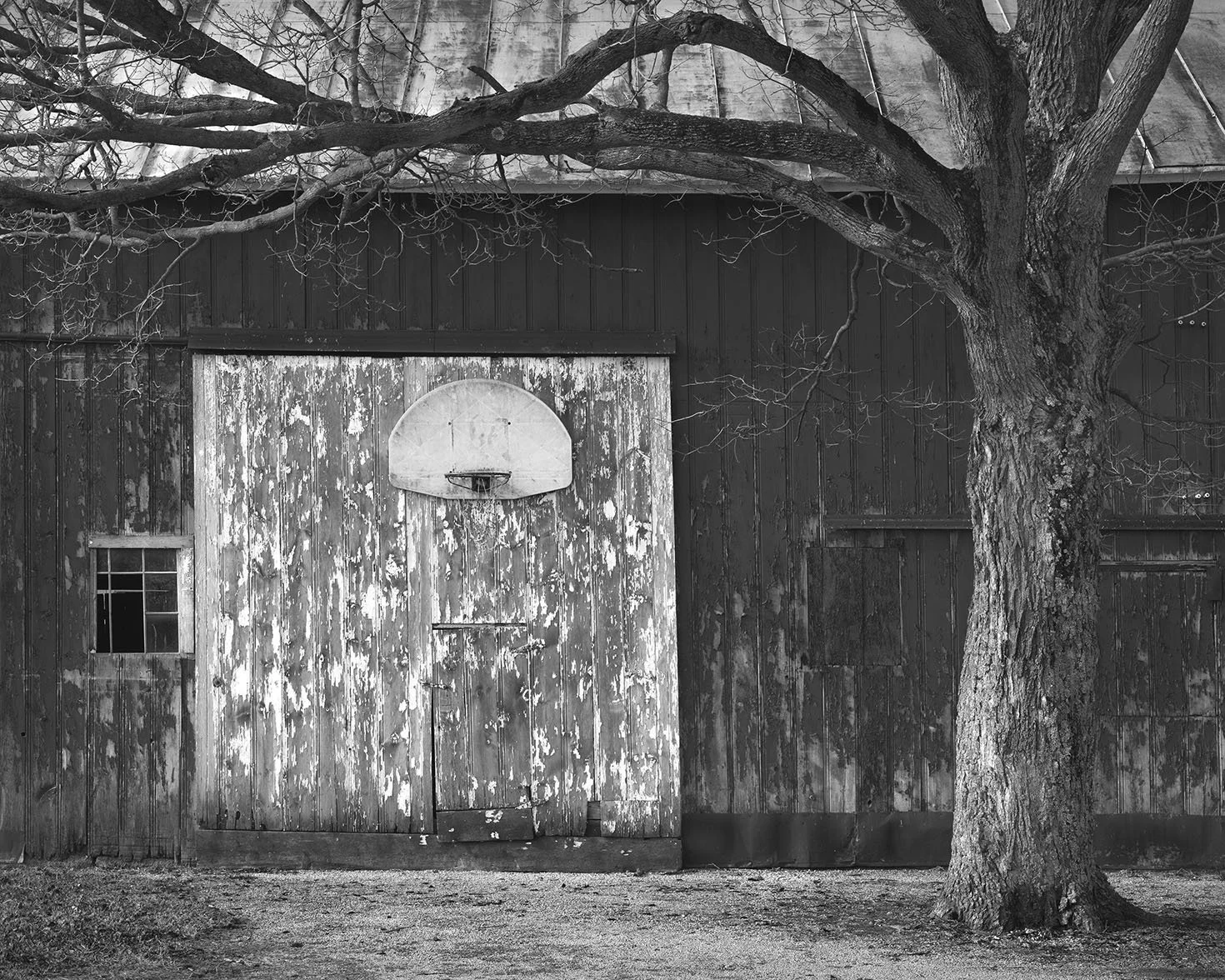 Country Court, Bar, Tree, Richwood, Ohio