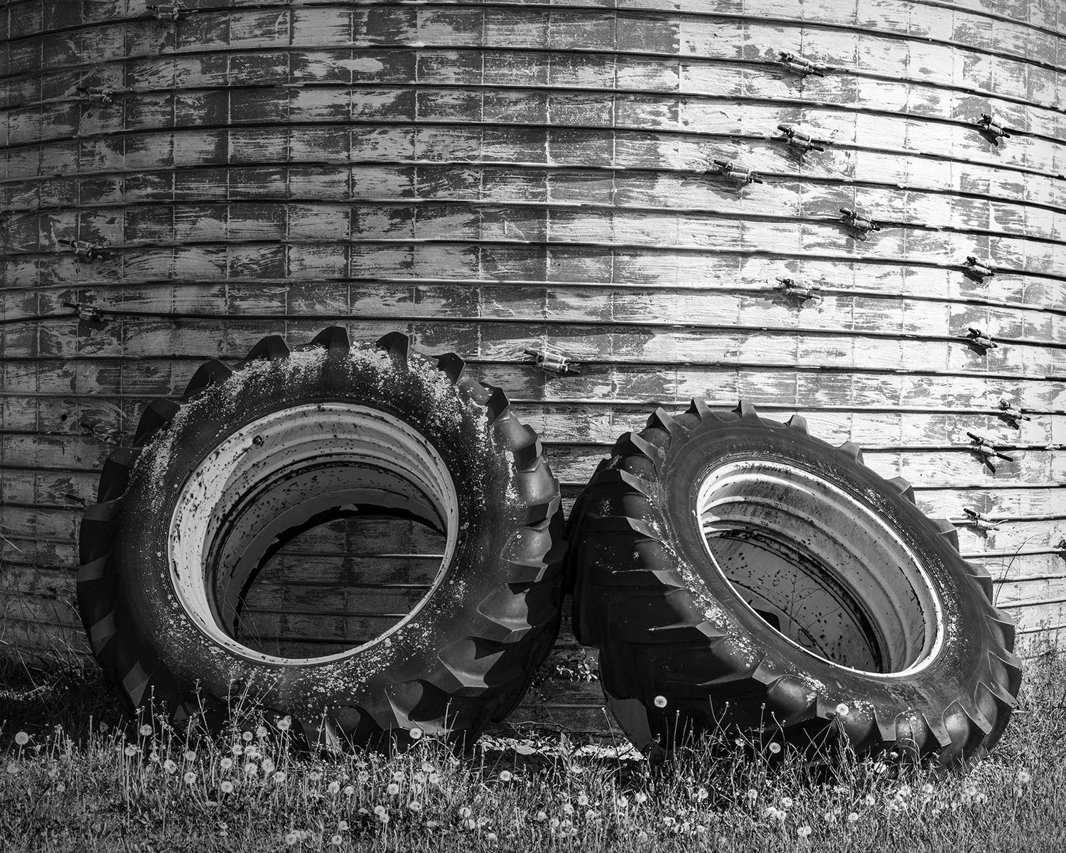 Tractor Tires, Grain Elevator Detail, Marysville, Ohio