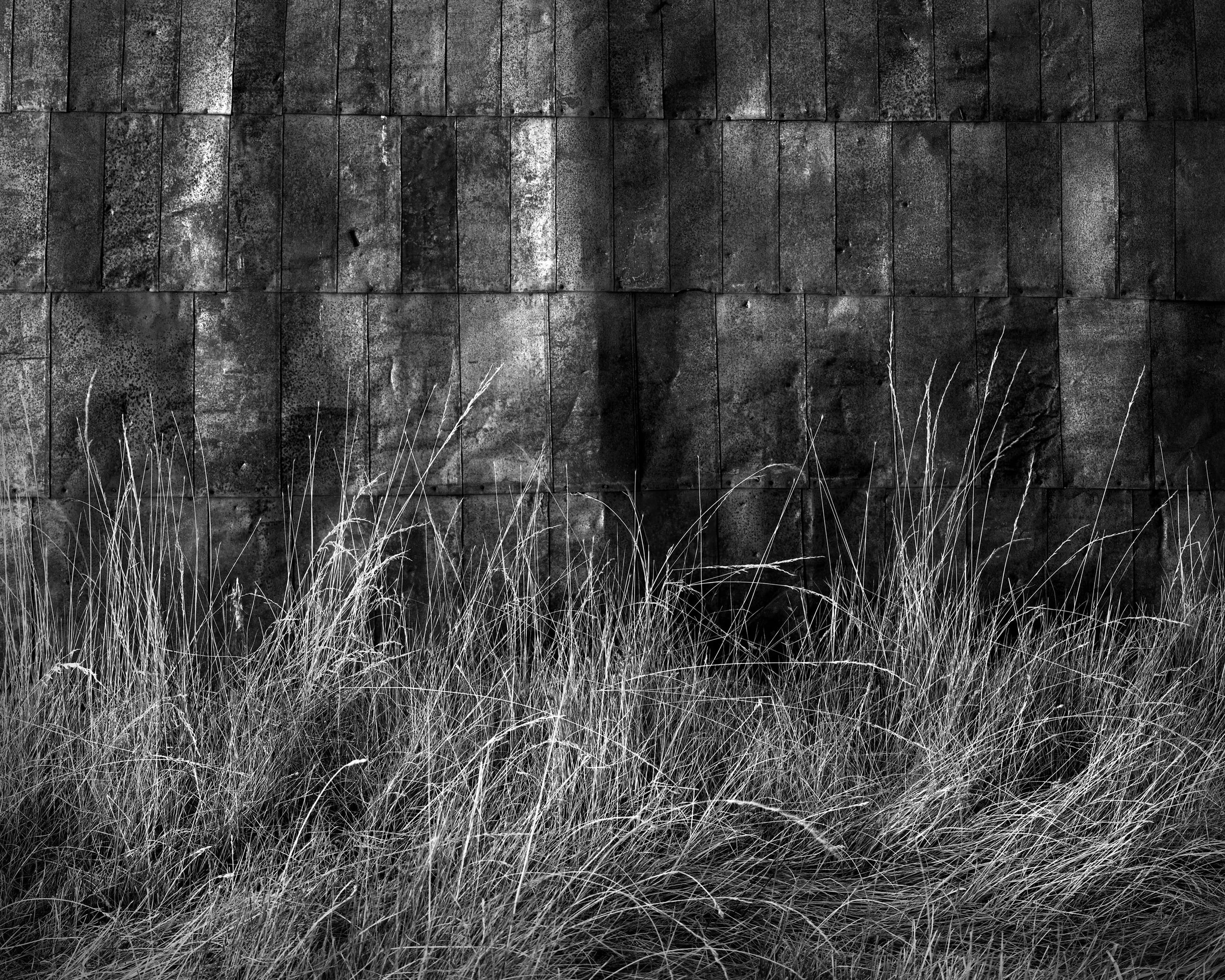 Tin Covered Wall, Door, Door, Bodie, California
