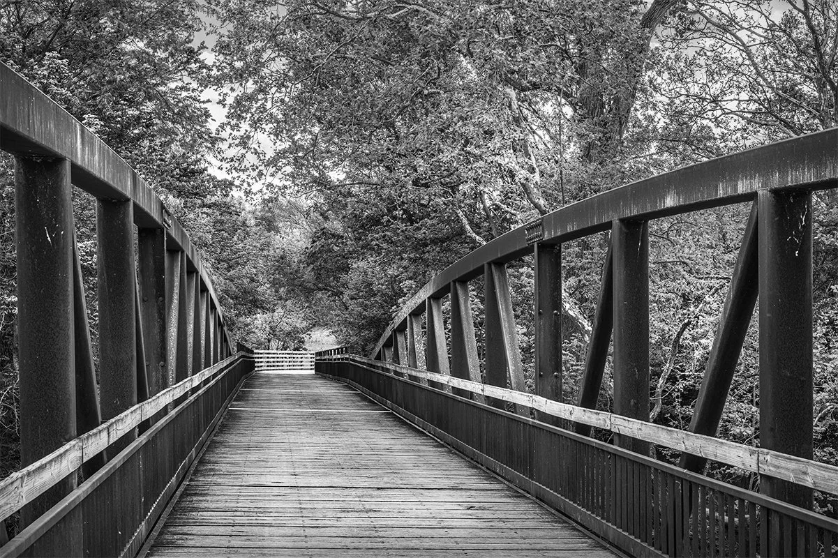 Darby Creek Greenway Trail, Foot Bridge, Prairie Oaks Metro Park, Ohio