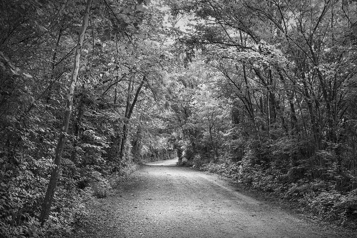 Darby Creek Greenway Trail, Prairie Oaks Metro Park, Ohio
