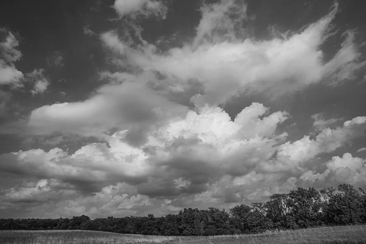 Prairie, Tree line, Clouds, Prairie Oaks Metro Park, Ohio