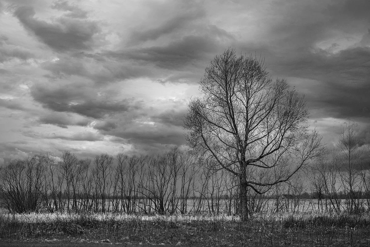 Early Spring, Rainy Day Clouds, Prairie Oaks Metro Park, Ohio