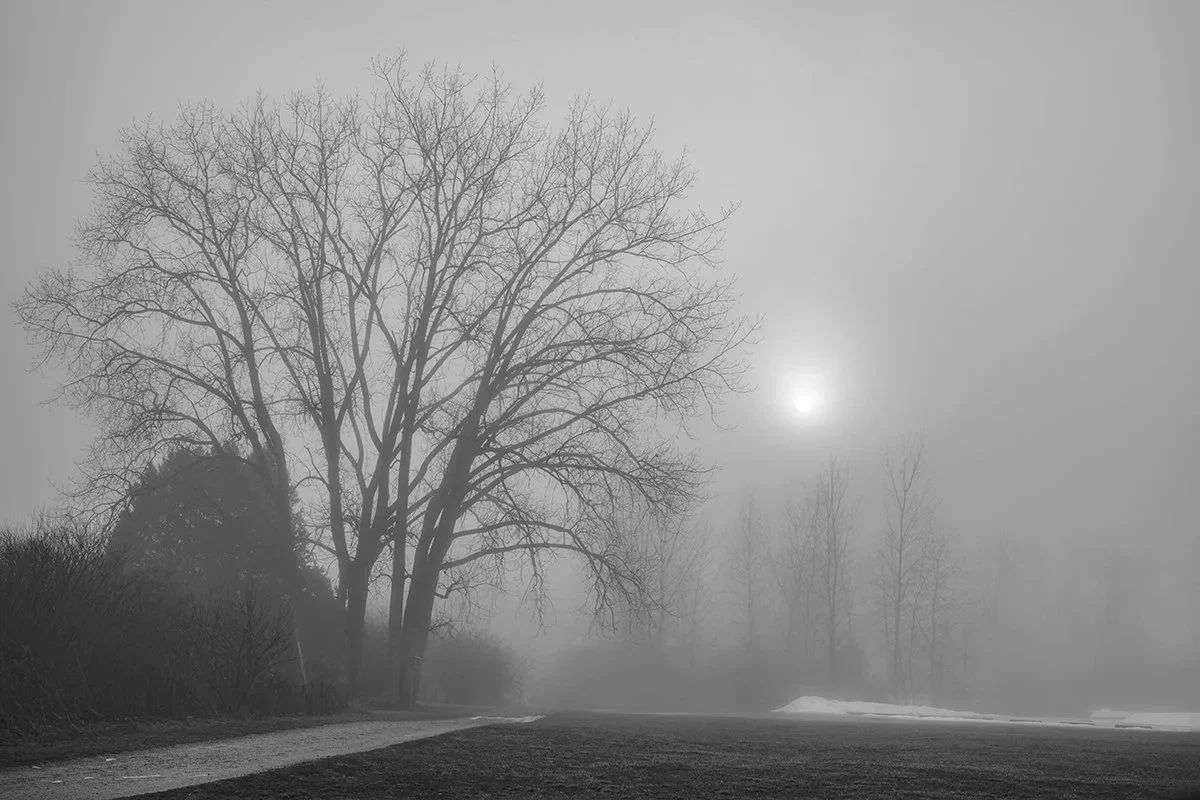 Frigid Morning Sunrise, Dense Fog, Prairie Oaks Metro Park, Ohio