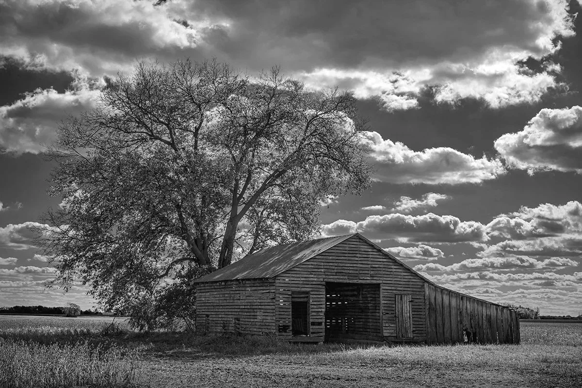 Weathered Barn, Tree, Clouds, Chuckery, Ohio