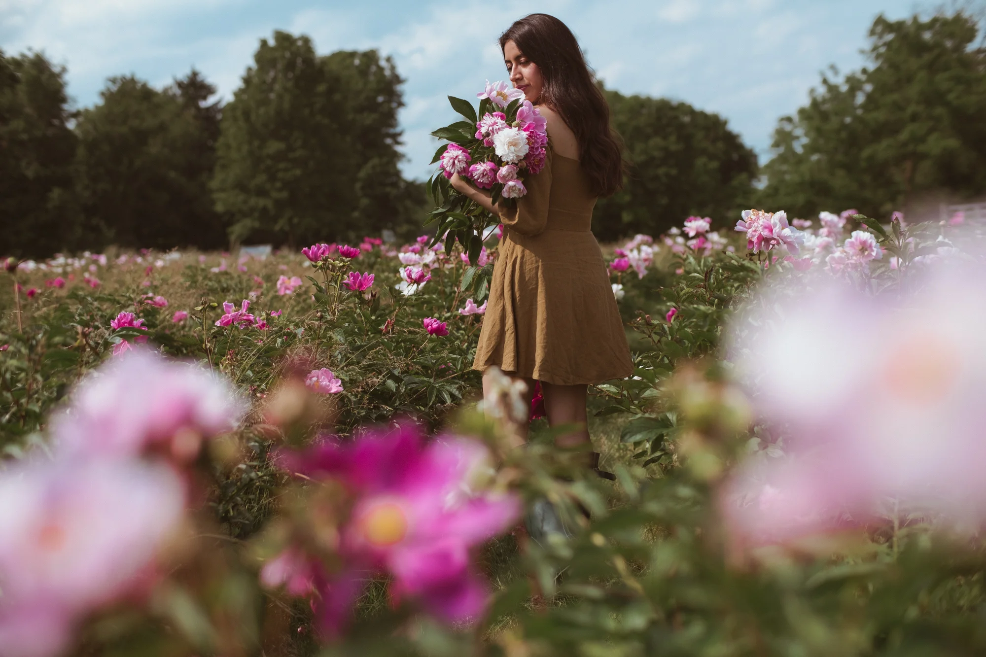 Peony Farm -12.jpg